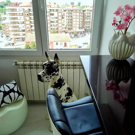 Apartment Casa Babu *